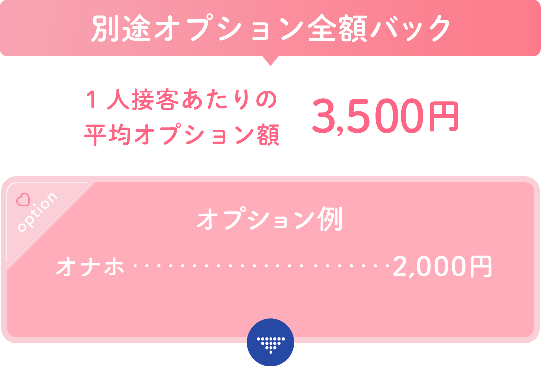 別途オプション全額バック